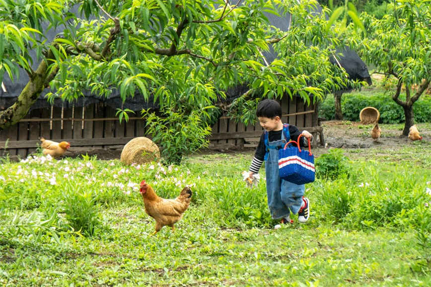 1748055746653318.jpg 微信圖片_20250524085549.jpg