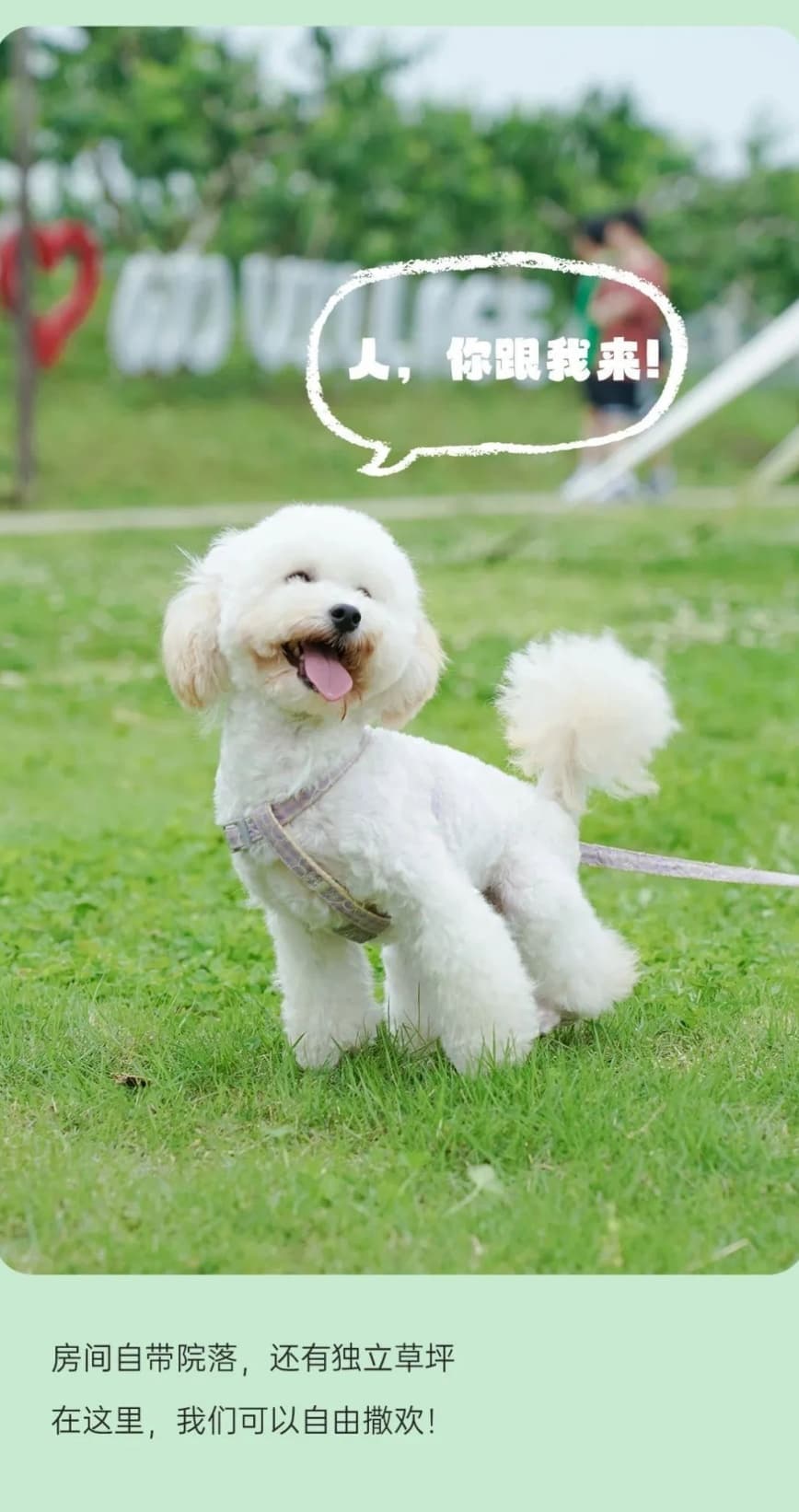 微信圖片_20250625130737.jpg