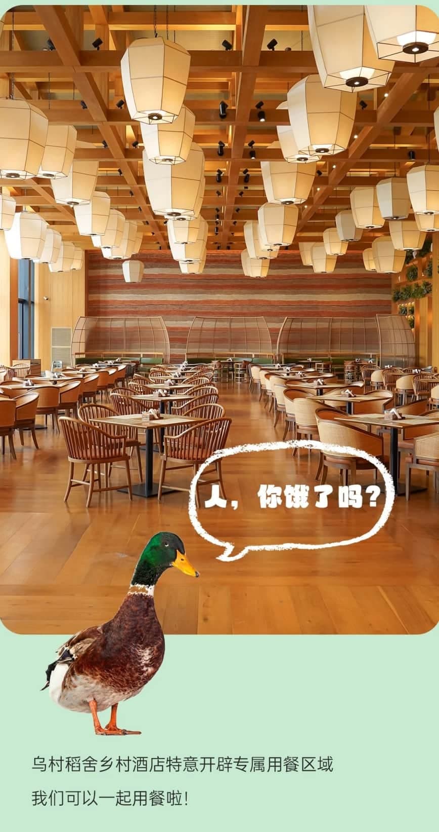 微信圖片_20250625130747.jpg
