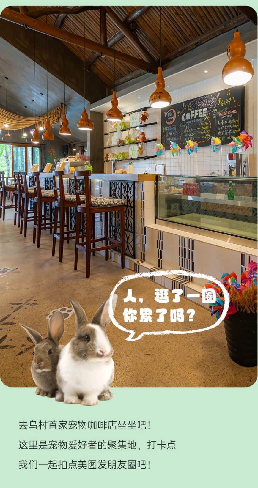 微信圖片_20250625130753.jpg