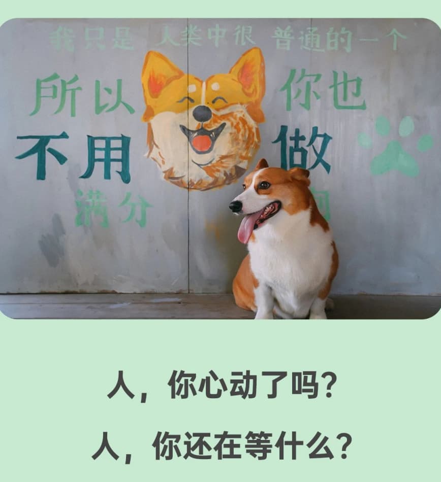 微信圖片_20250625130756.jpg