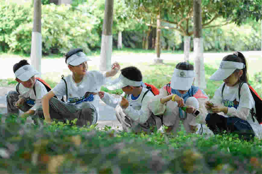 1752920108548794.jpg 21.jpg